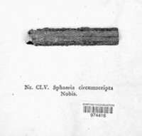 Sphaeria circumscripta image